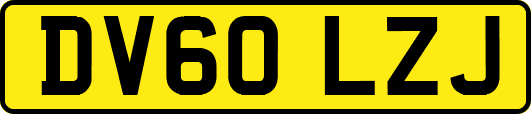 DV60LZJ