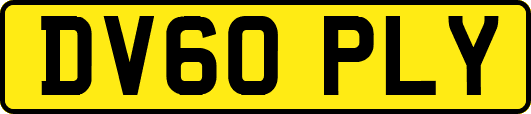DV60PLY
