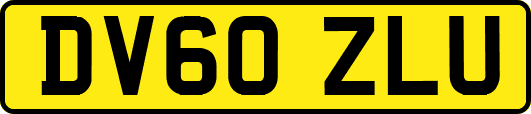 DV60ZLU