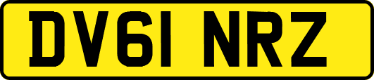 DV61NRZ