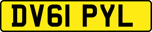 DV61PYL