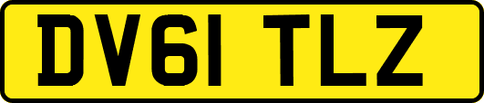 DV61TLZ