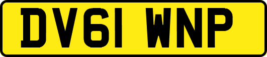 DV61WNP