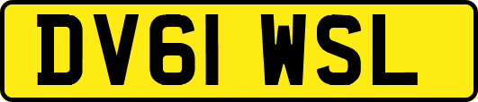 DV61WSL