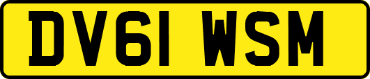 DV61WSM