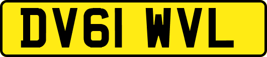 DV61WVL