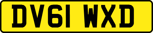 DV61WXD