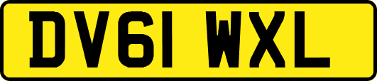 DV61WXL