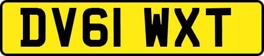 DV61WXT