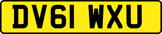 DV61WXU