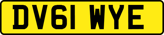 DV61WYE