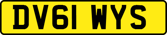 DV61WYS