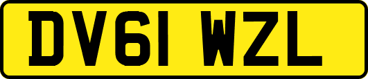 DV61WZL