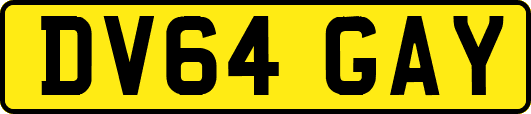 DV64GAY