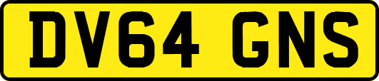 DV64GNS