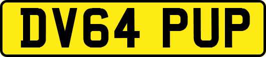 DV64PUP