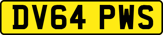 DV64PWS