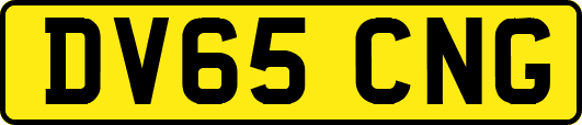 DV65CNG