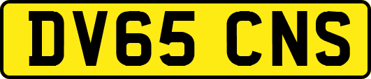 DV65CNS