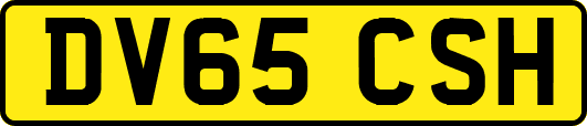 DV65CSH