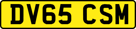 DV65CSM