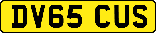 DV65CUS