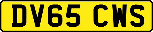 DV65CWS