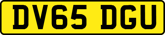 DV65DGU