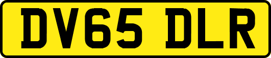 DV65DLR