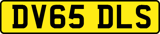 DV65DLS