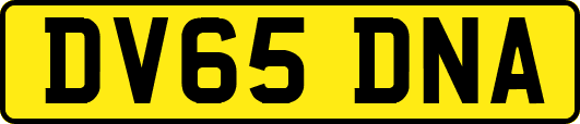 DV65DNA