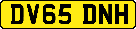 DV65DNH