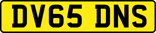 DV65DNS