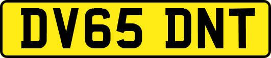 DV65DNT