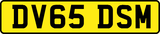 DV65DSM