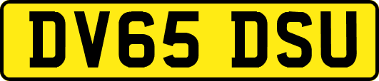 DV65DSU