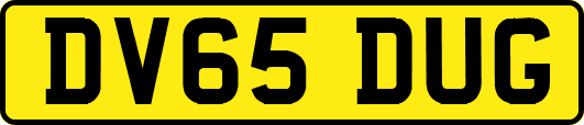 DV65DUG