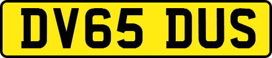 DV65DUS