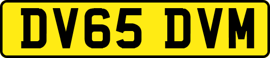 DV65DVM