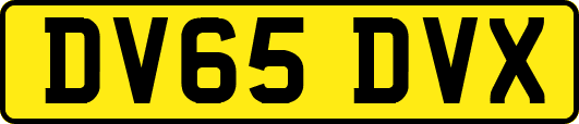 DV65DVX