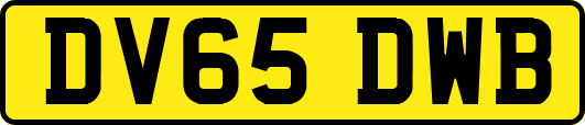 DV65DWB