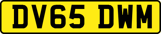 DV65DWM