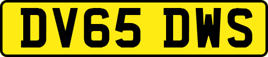 DV65DWS