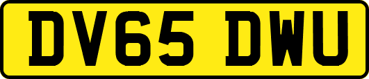 DV65DWU