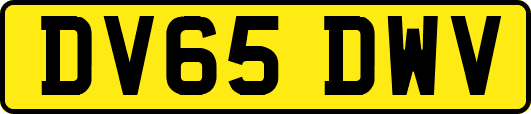 DV65DWV
