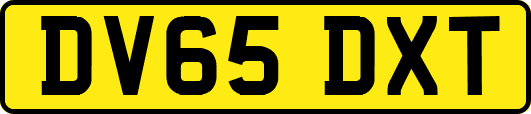 DV65DXT