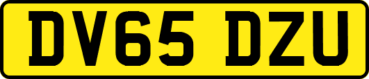 DV65DZU