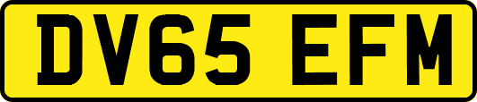 DV65EFM