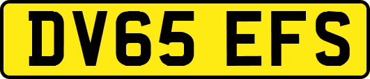 DV65EFS