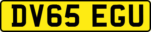 DV65EGU